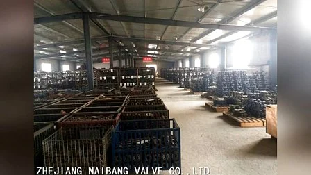 Brass Transformer Special Gate Valve with Flange